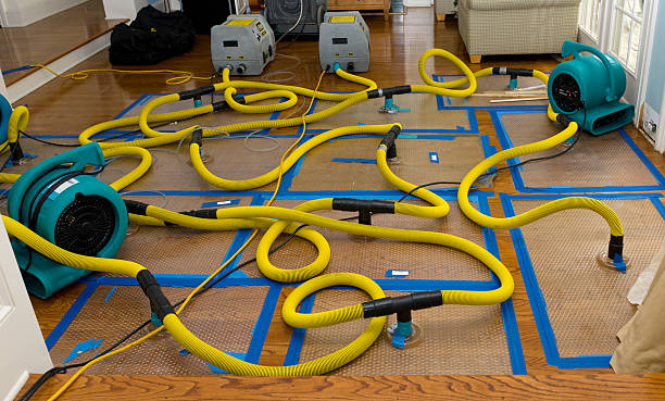Professional Structural Drying And Dehumidification technician working in Derby, OH